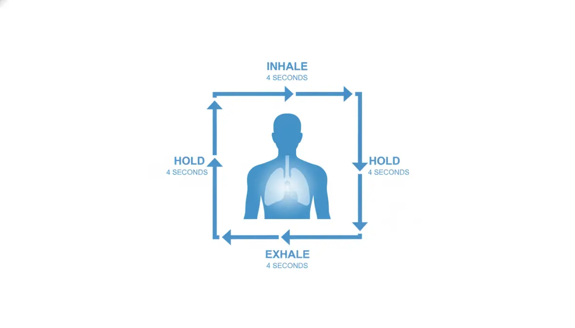 Box breathing technique diagram showing 4-4-4-4 breathing pattern with four-second intervals