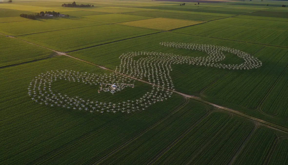 Multi-robot systems application in precision agriculture with coordinated drone swarm monitoring crops